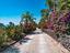 Immagine 26