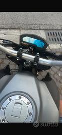 Lem brutus 110