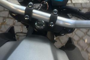 Lem brutus 110