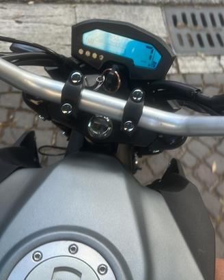 Lem brutus 110