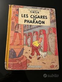 Tintin
