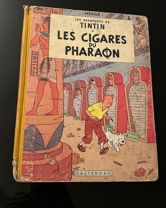 Tintin