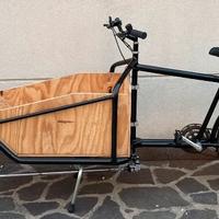 Cargo bike muscolare