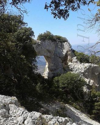 Appartamento  Galtellì