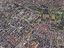 Immagine 11