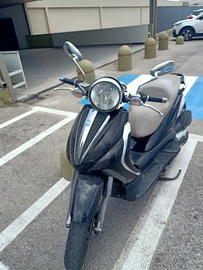 Beverly cruiser 500 2009