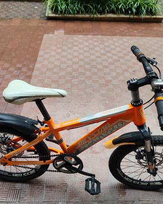 Bici 20 freni a Disco