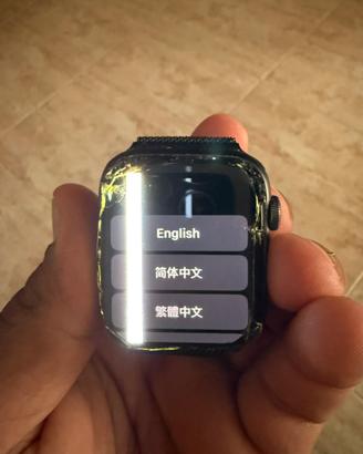 Apple watch se