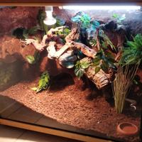 Terrario per serpenti 100x80x60cm