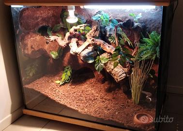 Terrario per serpenti 100x80x60cm