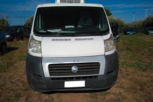 autonegozio  Fiat Ducato 2.3 multijet