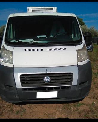 autonegozio  Fiat Ducato 2.3 multijet