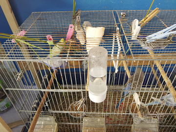 Fate ai vostri bambini la migliore sorpresa di Nat