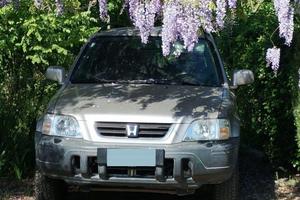 Honda CRV