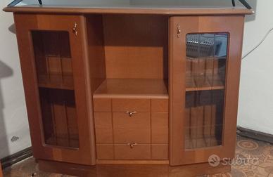 mobile porta tv