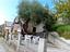 Immagine 2