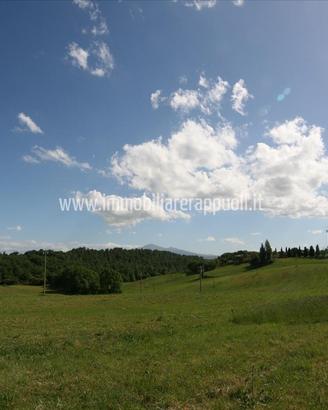 TR107 - Pienza 21 ha di terreno seminativo