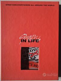 Album cofanetto IN LIFE Stray Kids