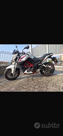 Belli bn 251