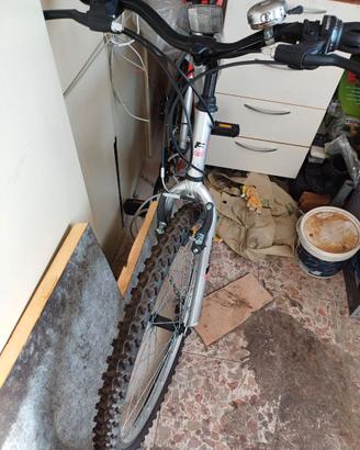mountain bike