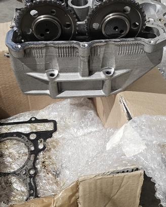 Testa t max 530