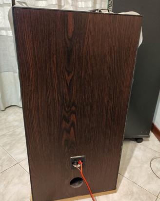 Coppia di casse da pavimento 