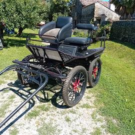 Carrozza da maratona