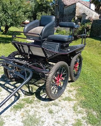 Carrozza da maratona