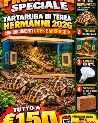 Tartaruga di terra hermannii+terrario+ altro