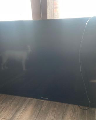 TV hisense 40 pollici