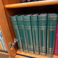 Lessico universale italiano treccani