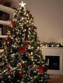 Albero di Natale valuto cifre ragionevoli