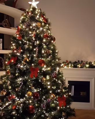 Albero di Natale valuto cifre ragionevoli