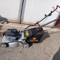 Tagliaerba Briggs e Stratton