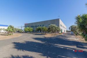 Capannone Industriale - Catania