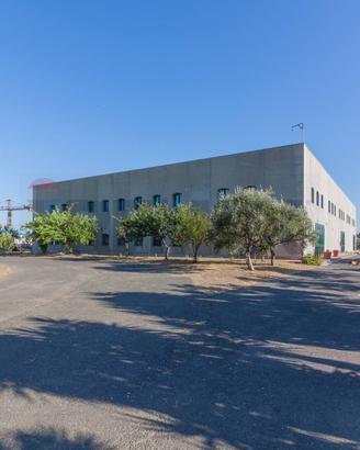 Capannone Industriale - Catania