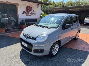 FIAT Panda 1.0 FireFly S&S Hybrid Easy PREZZO R