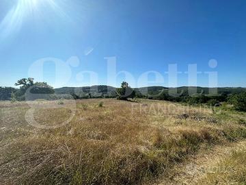 Rustico/Casale/Corte Orte [Cod. rif 3329926VRG]