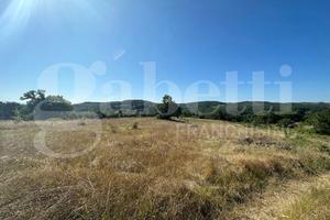 Rustico/Casale/Corte Orte [Cod. rif 3329926VRG]