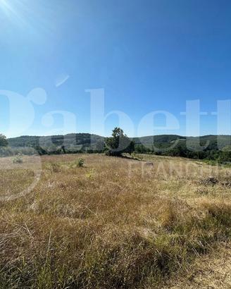 Rustico/Casale/Corte Orte [Cod. rif 3329926VRG]