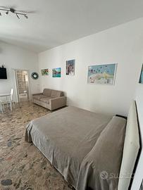 Grazioso monolocale pet-friendly