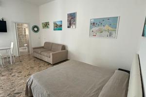 Grazioso monolocale pet-friendly