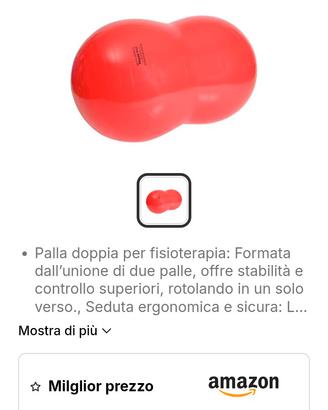 palla Phisio Roll 