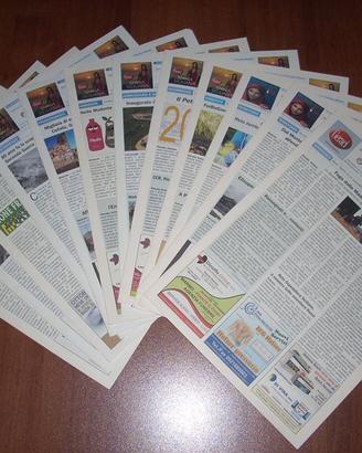 Giornale Il Petrino