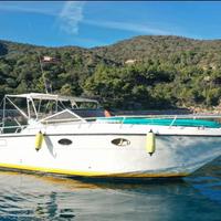 Fiart thunder 28