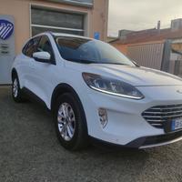 Ford Kuga 1.5 EcoBlue 120 CV 2WD Titanium