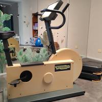 Cyclette Technogym 