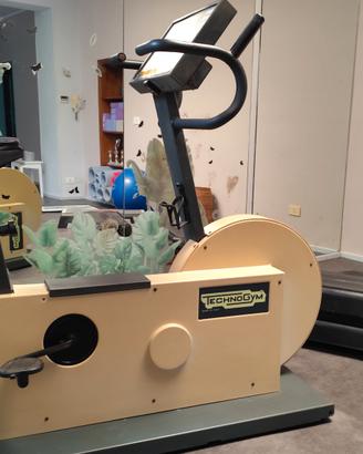 Cyclette Technogym 