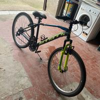 Bicicletta errera 26