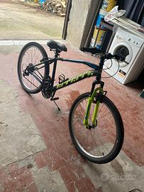 Bicicletta errera 26